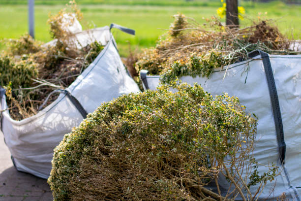 Best Garage Cleanout  in Roma, TX